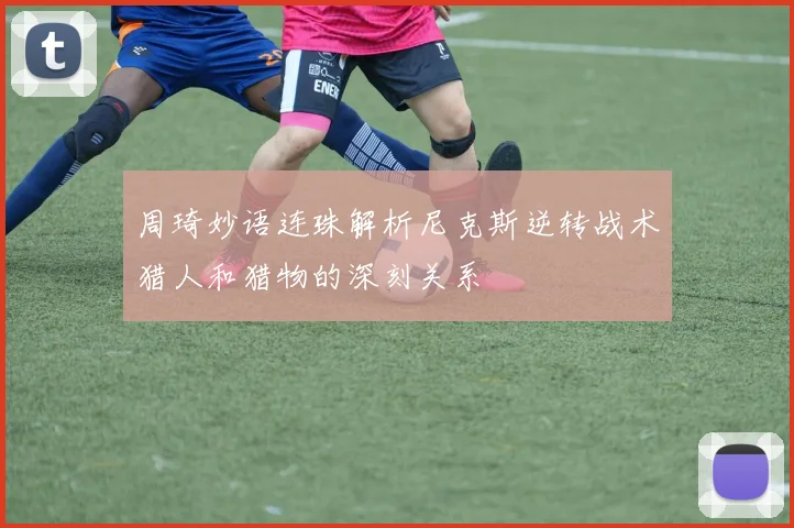 周琦妙语连珠解析尼克斯逆转战术猎人和猎物的深刻关系
